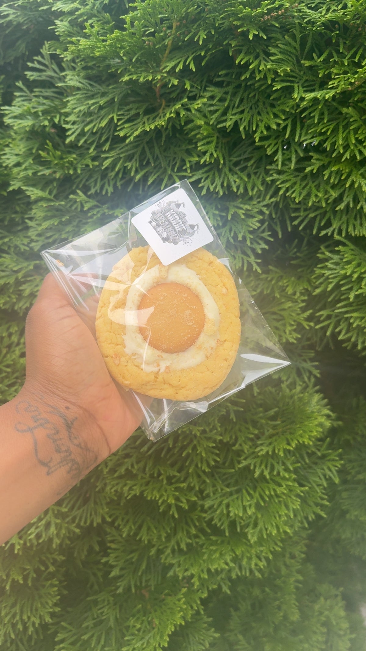 Banana Pudding Bliss