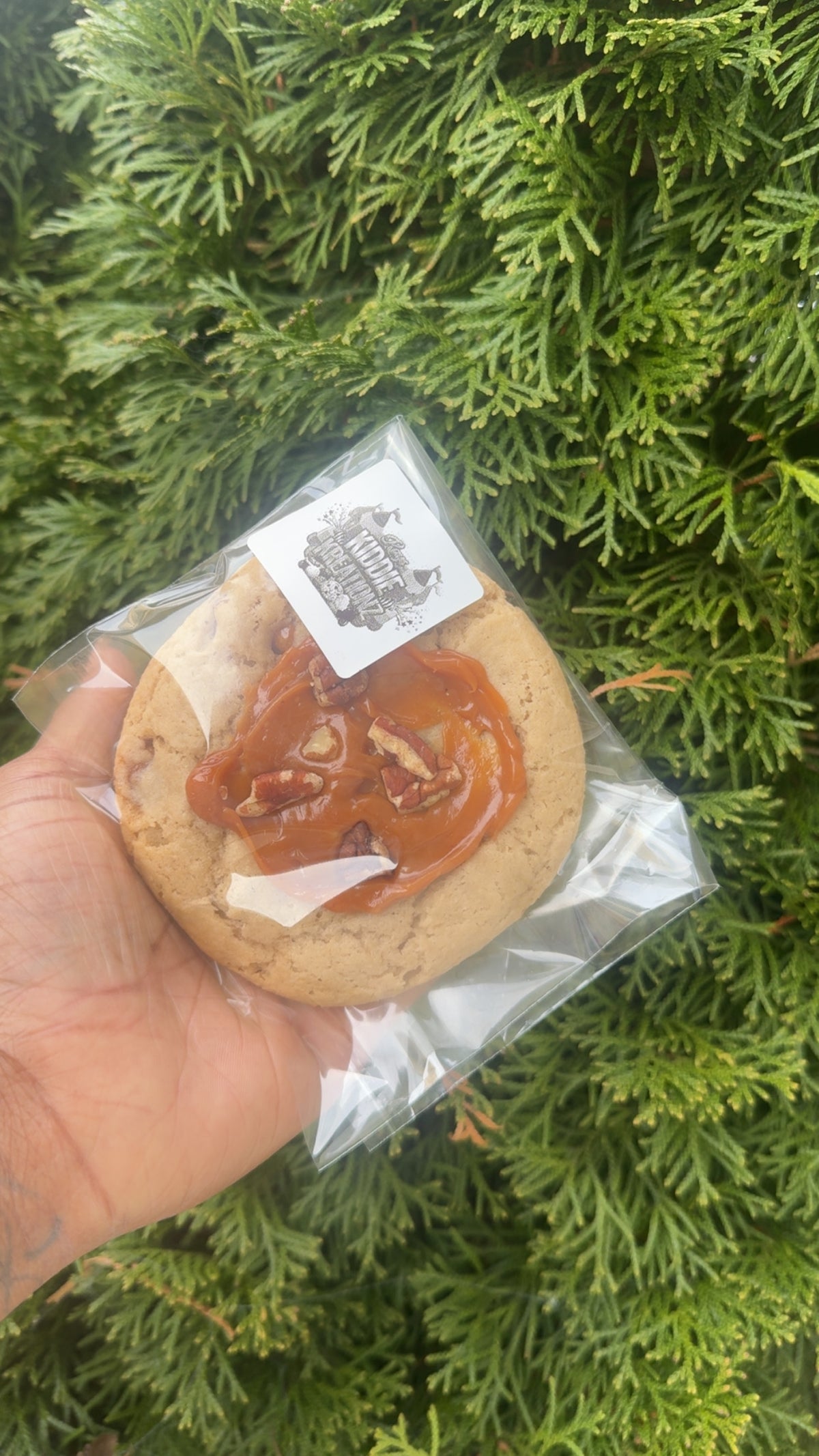 Caramel Turtle Delight