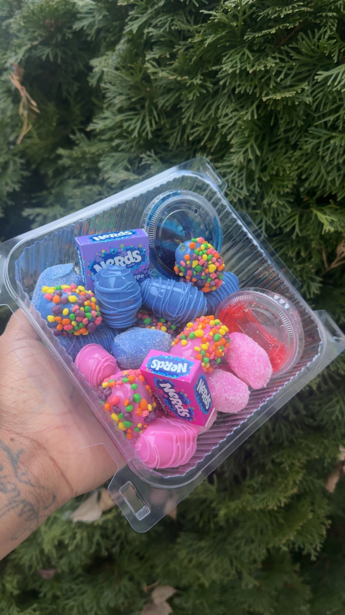 Medium Candied Grape Tray